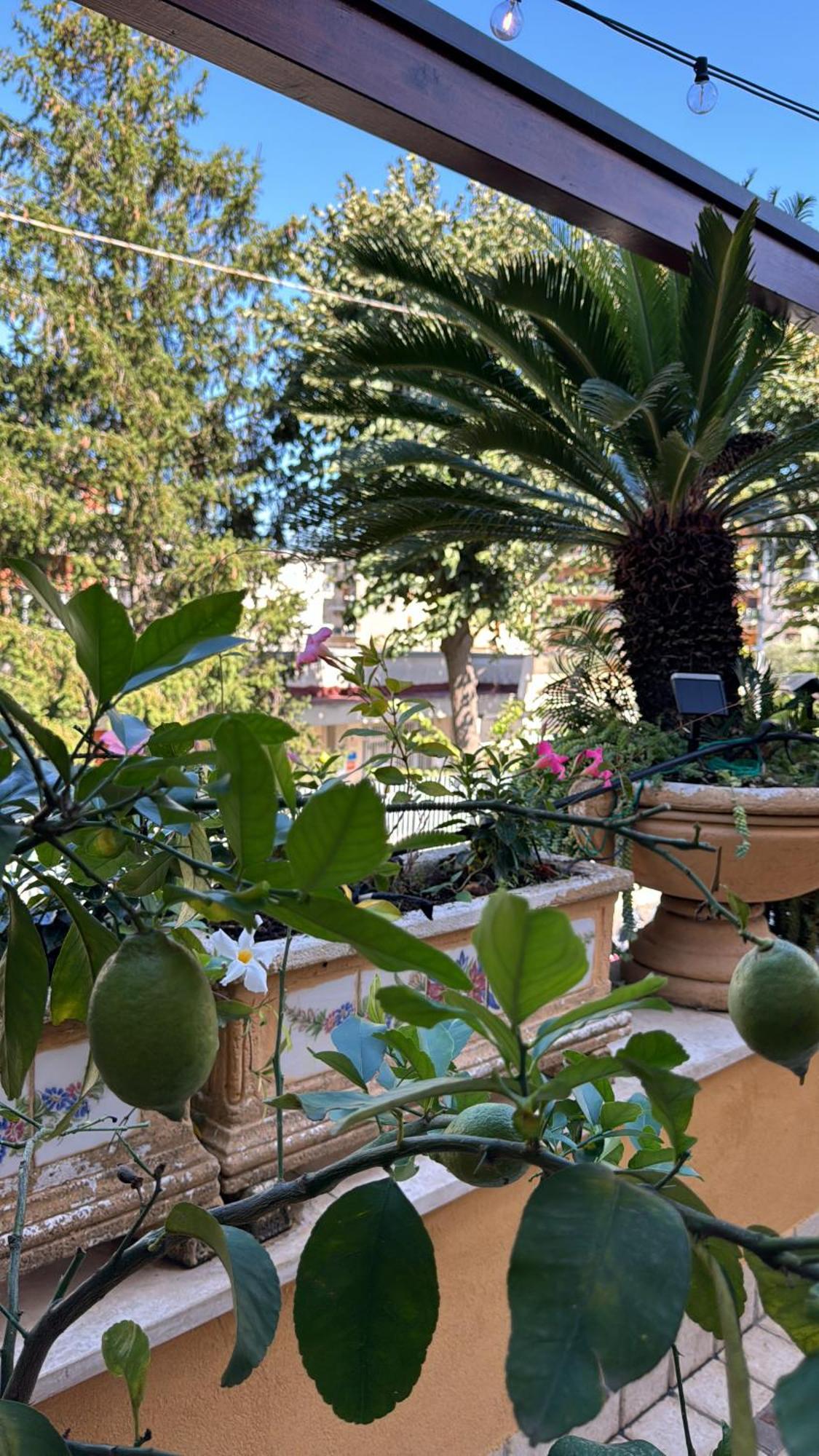 Relais Sorrento Terrace And Relax B&B 외부 사진